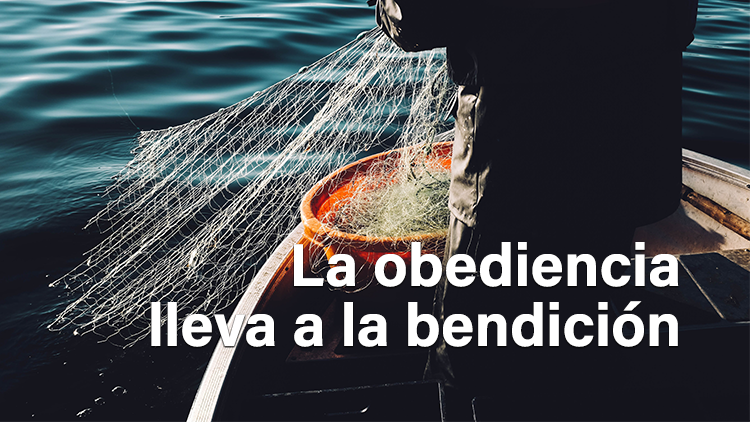 La obediencia lleva a la bendición
