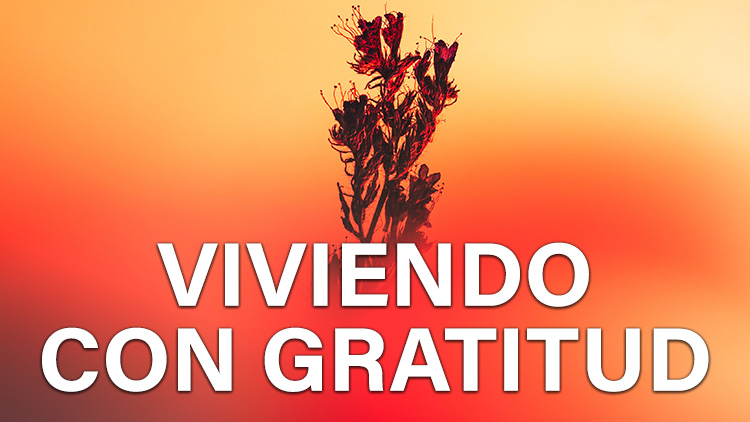 Viviendo con gratitud